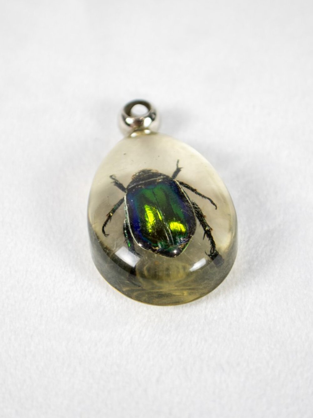 Real Green Iridescent Chafer Beetle Resin Teardrop Pendant Necklace